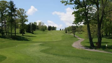 Un campo de golf con un camino serpenteante, árboles y cielo despejado.