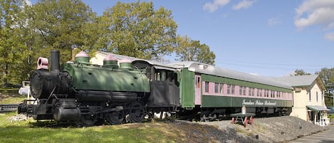 A green train with a dining car labeled "Jandecor Palace Restaurant" parked on a track.