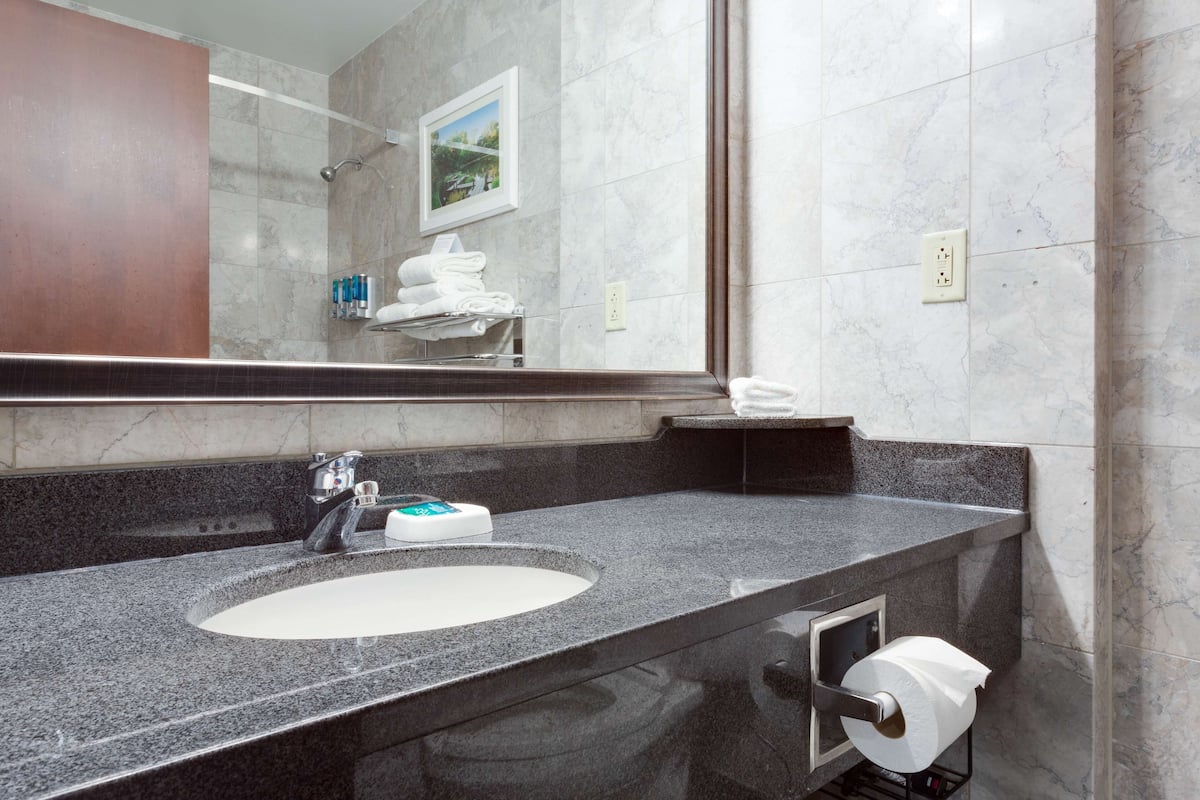 combined shower/bathtub, eco-friendly toiletries, hair dryer, towels