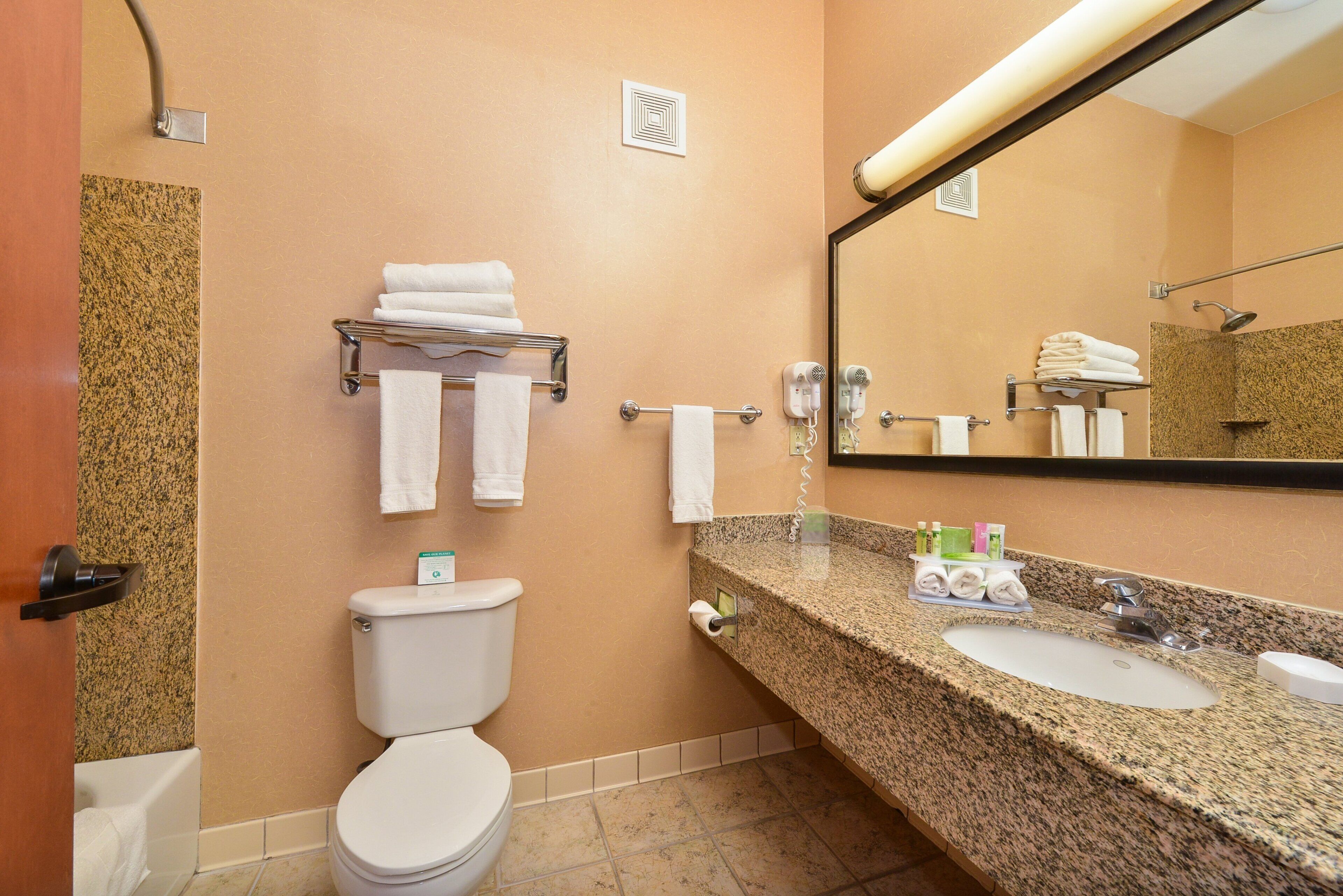 Un baño de hotel con inodoro, lavamanos y espejo.