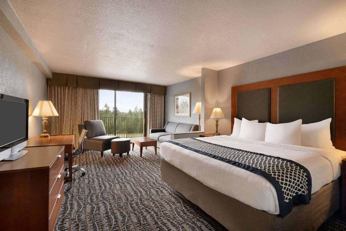 A hotel room with a large bed, a desk with a TV, a chair, a sofa, and a view of trees through the window.