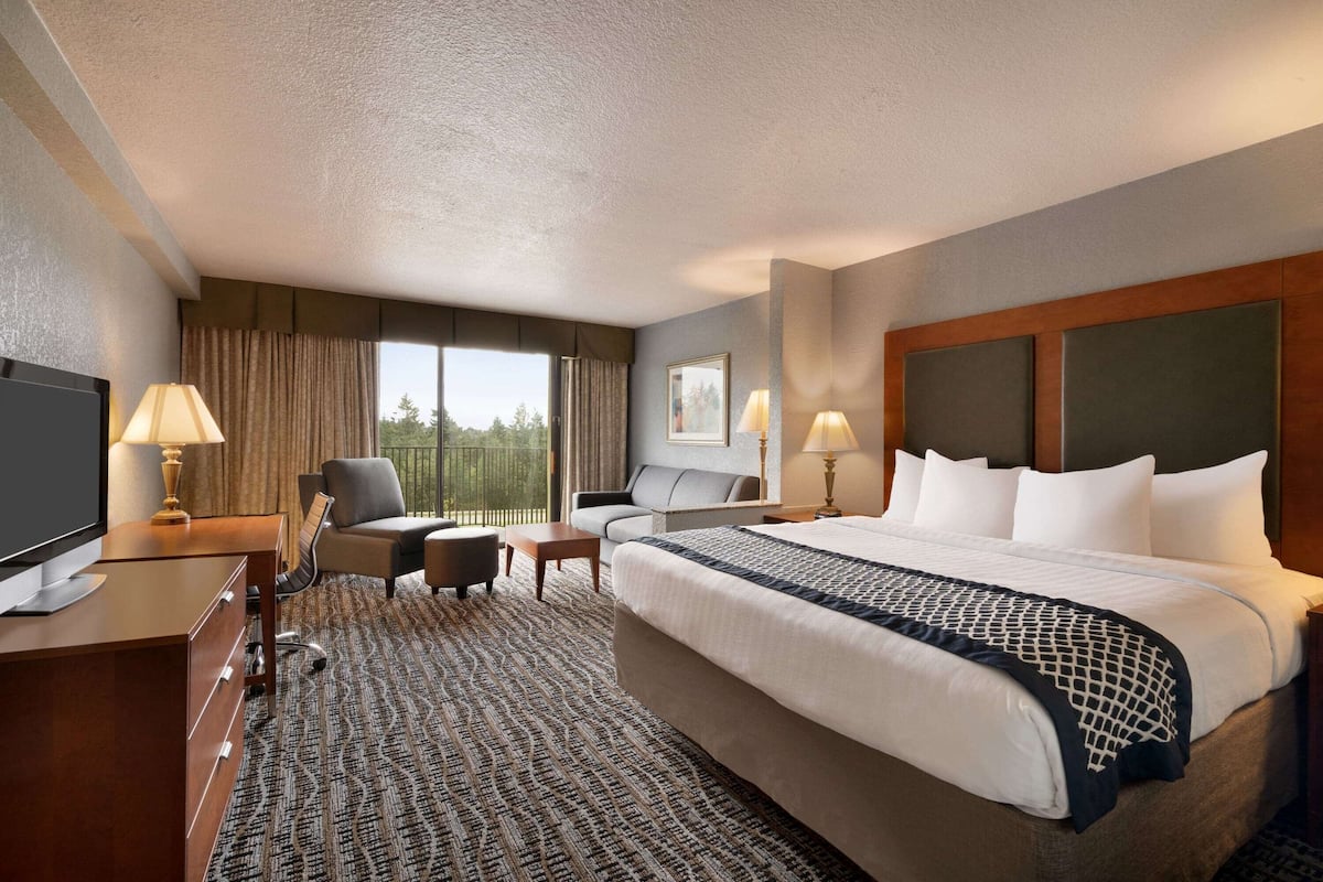 A hotel room with a large bed, a desk with a TV, a sofa, and a chair.