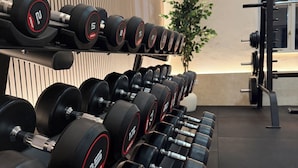Une salle de sport avec plusieurs rangées de haltères, un support à poids et une plante.