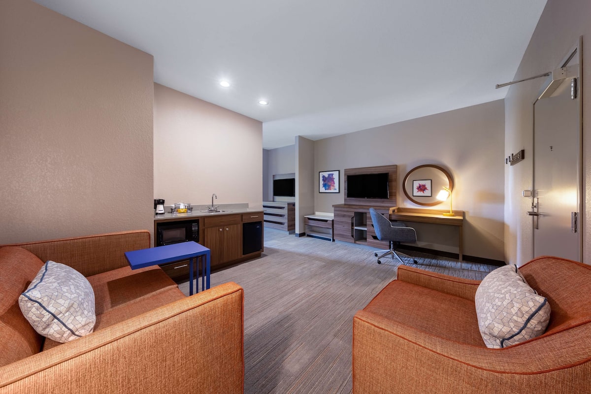 suite, 1 king bed, non smoking | minibar