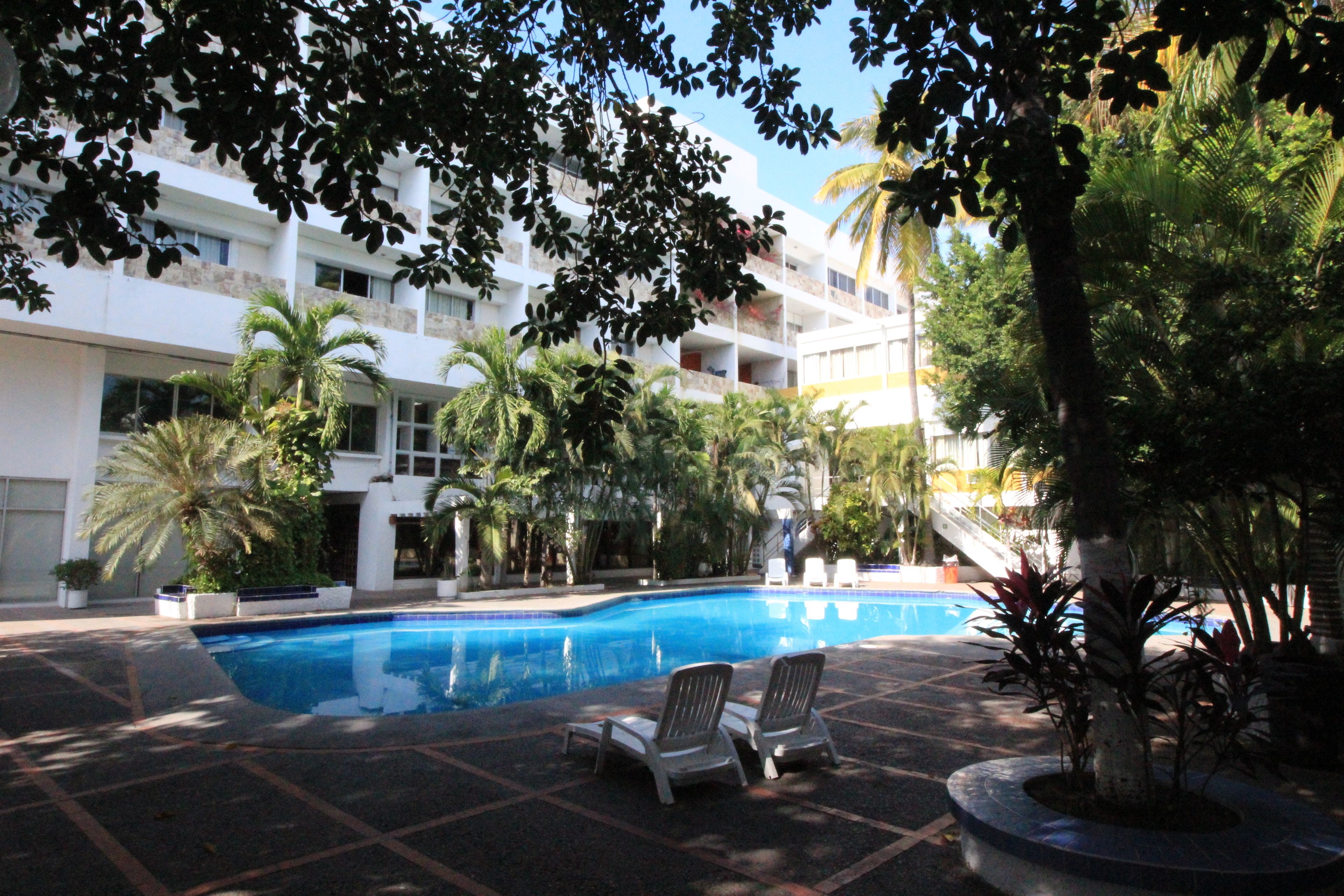 A swimming pool with lounge chairs, surrounded by palm trees and a multi-story building.