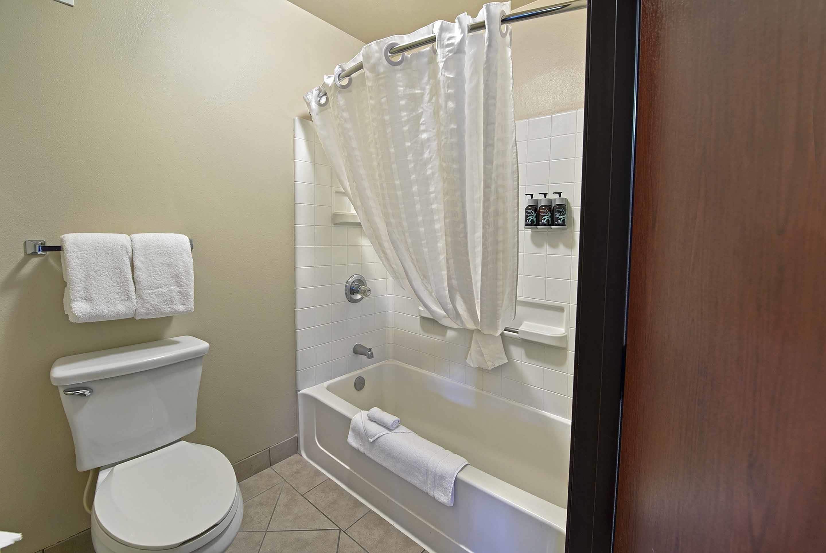 combined shower/bathtub, eco-friendly toiletries, hair dryer, towels