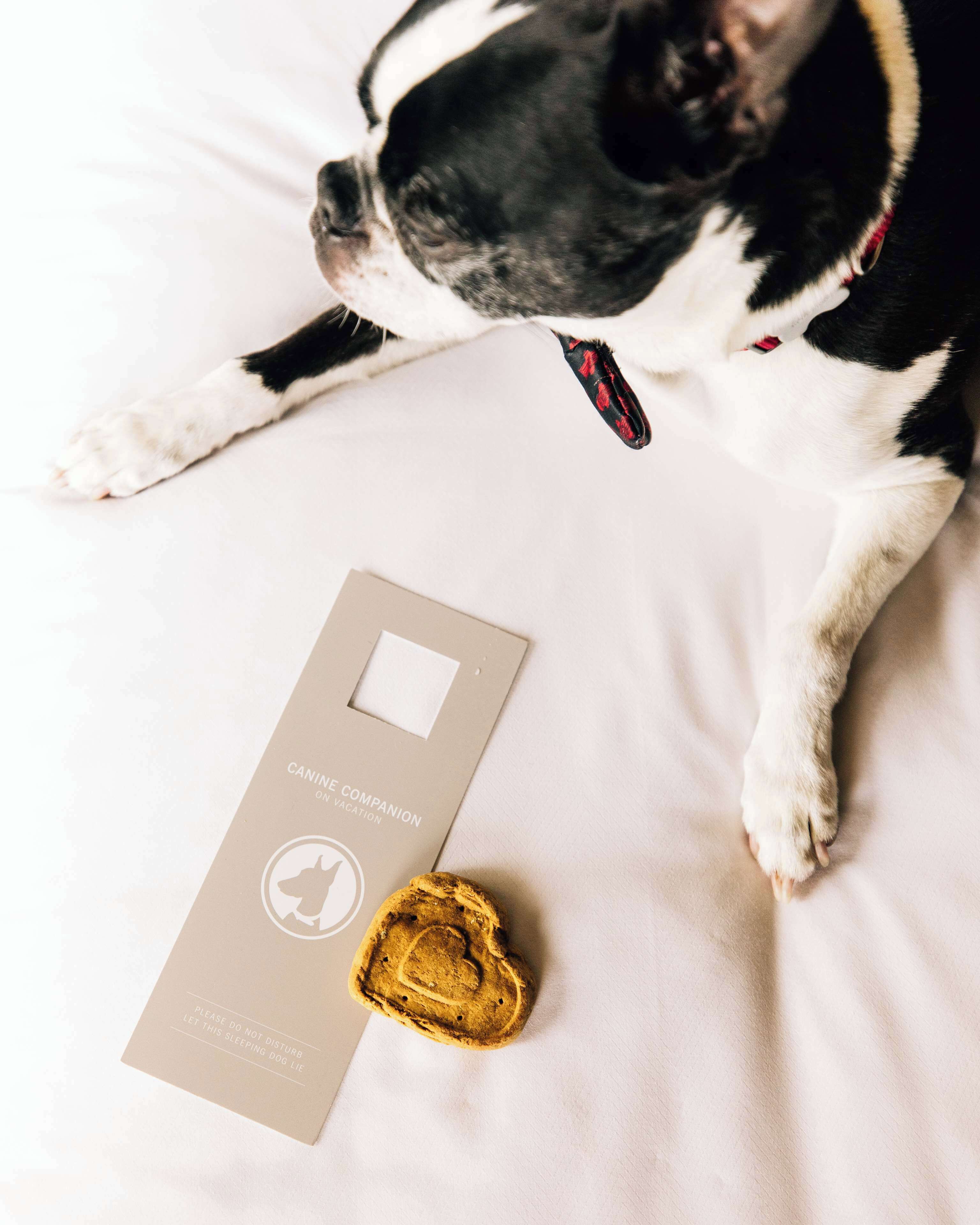 Foto - Grand Hyatt Seattle