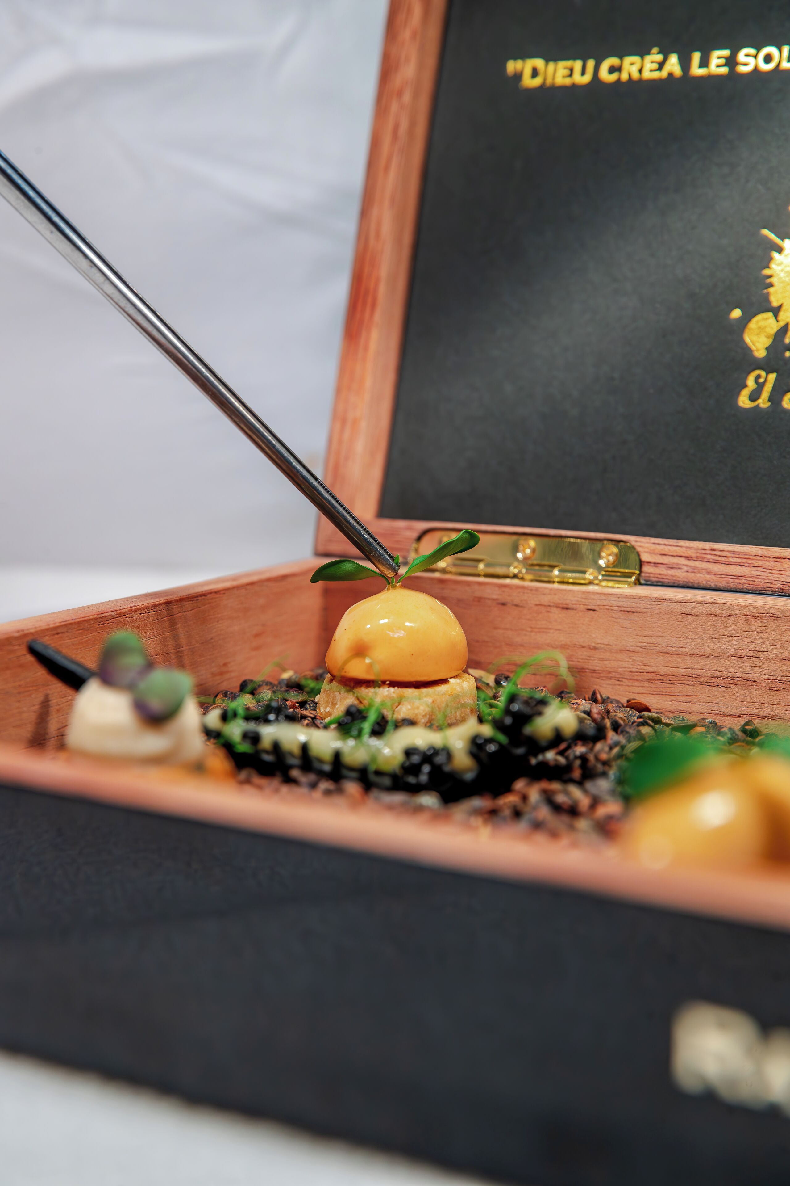 A wooden box with a black interior and a gold emblem.