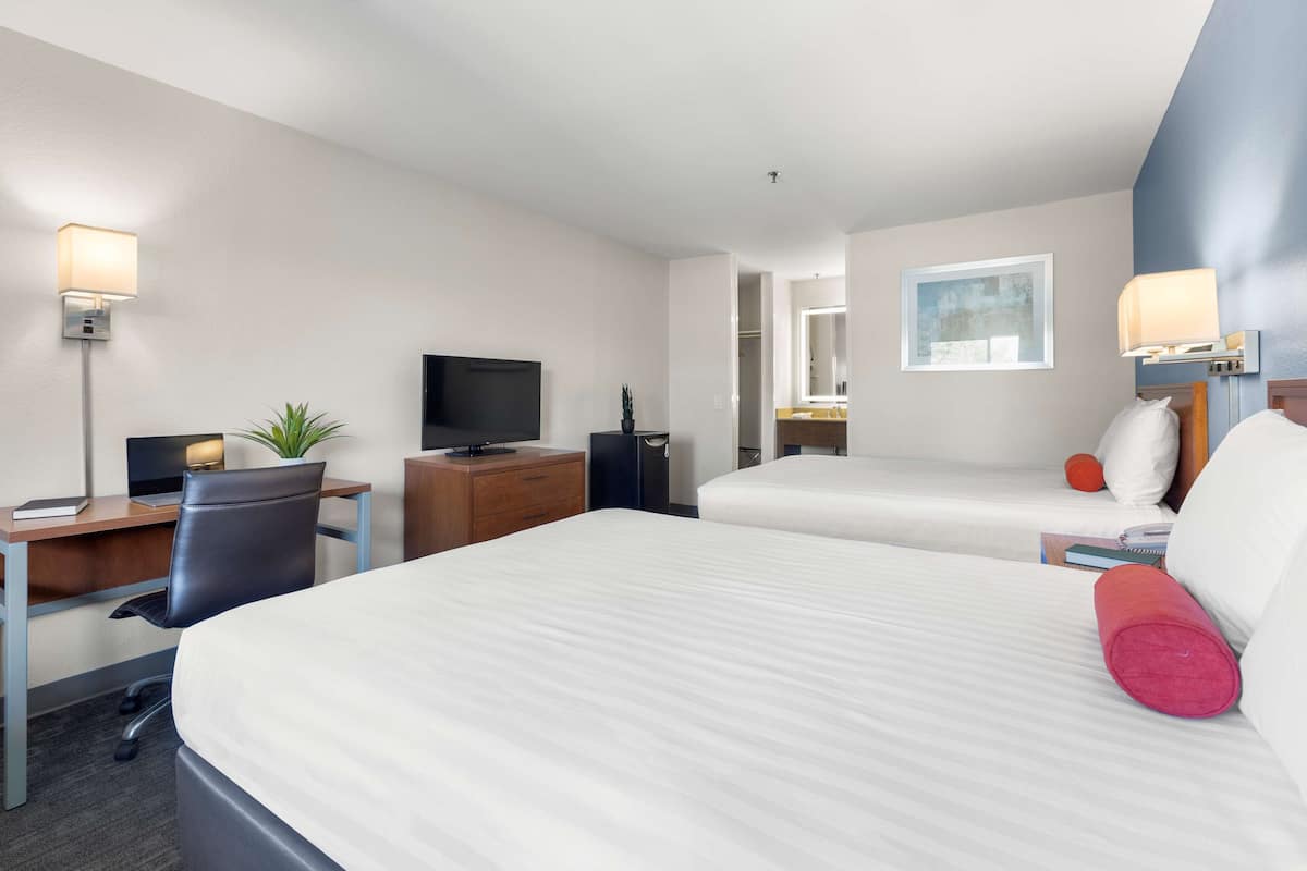 A hotel room with two beds, a desk with a computer, a TV, and a small plant.