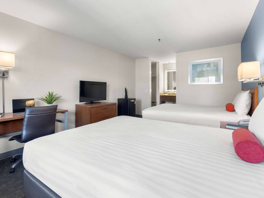 Une chambre d’hôtel avec deux lits, un bureau avec un ordinateur, une télévision et une petite plante.