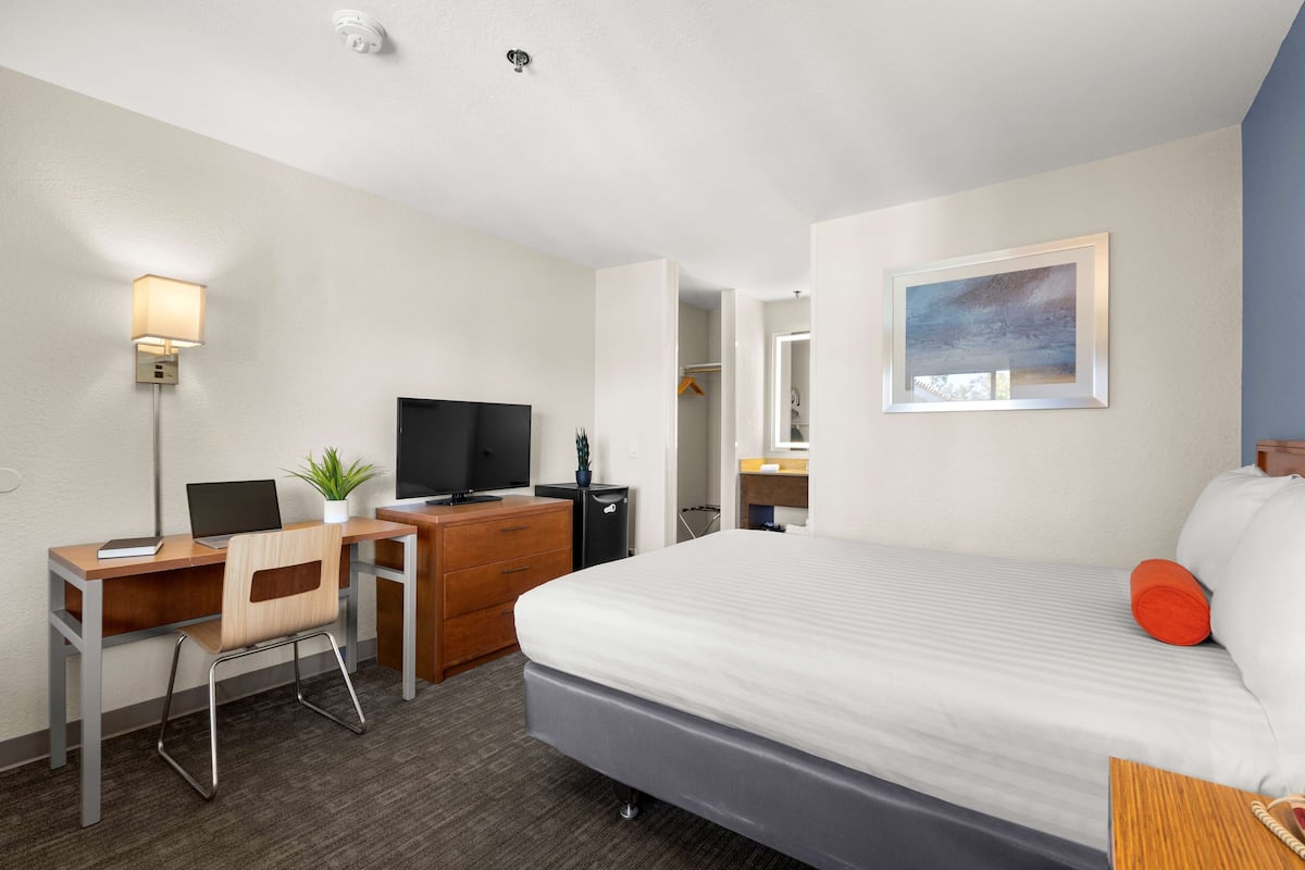 A hotel room with a bed, a desk with a computer, a television, a dresser, and a small plant.