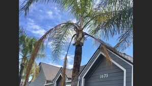A row of modern houses with grey siding and white trim, numbered 1675. - Good Nite Inn Redlands (Redlands)