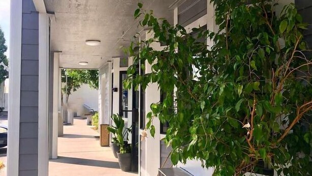 A covered outdoor area with potted plants and a concrete pathway leading to a building entrance. - Good Nite Inn Redlands (Redlands)