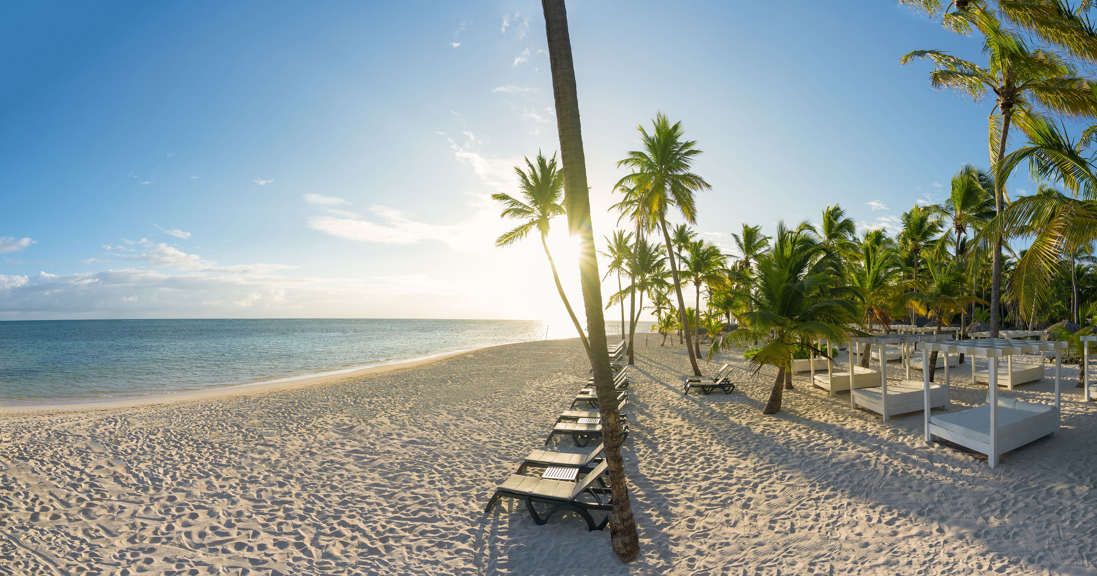 Une plage avec des chaises longues blanches et des palmiers, un ciel dégagé et l’océan en arrière-plan.