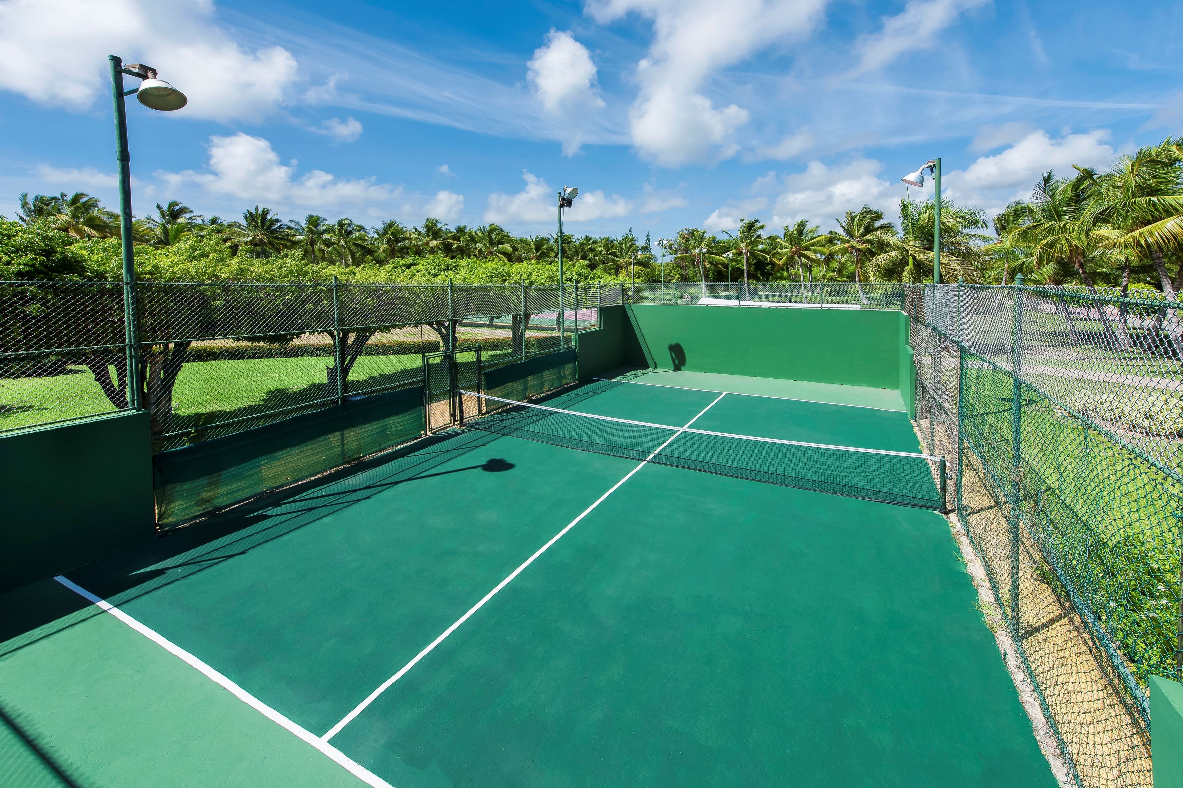 A tennis court with a green surface, surrounded by a chain-link fence, and palm trees in the background.