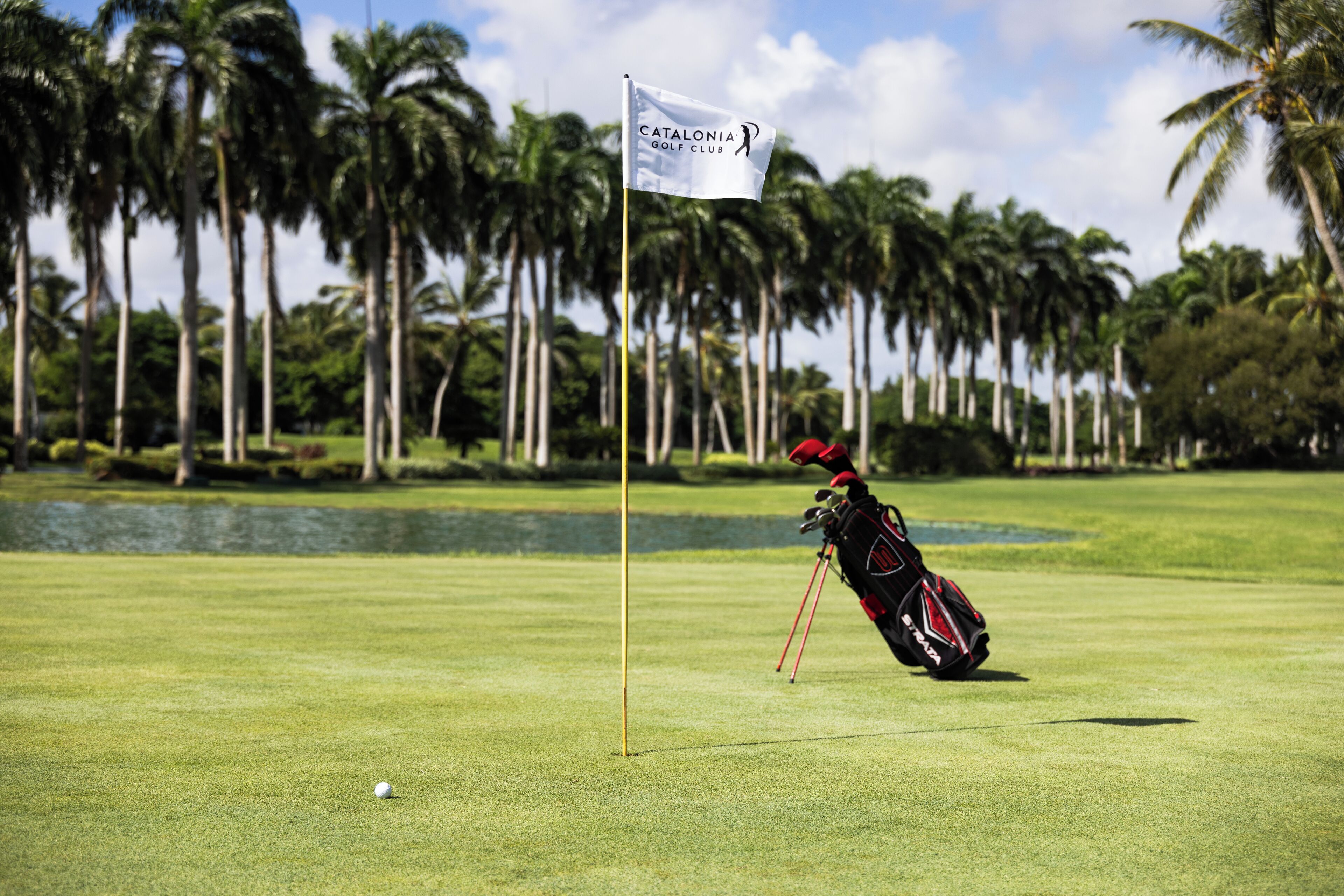 A golf club bag on a green with a flag, palm trees, and a water body in the background.