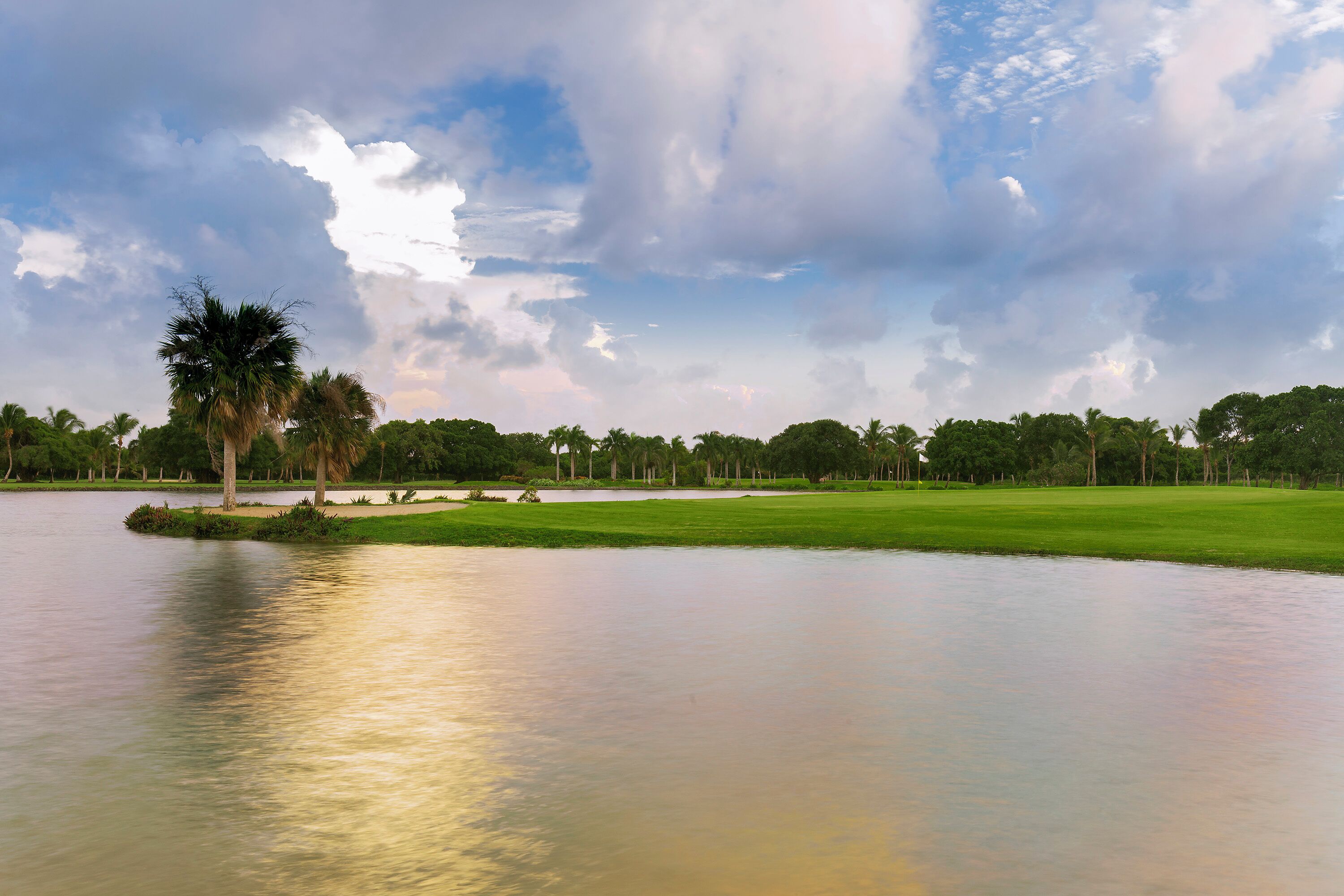 A golf course with a water body, green grass, and palm trees.