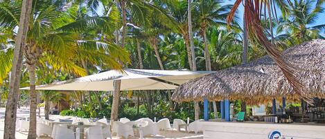 A beachside bar with white plastic chairs and umbrellas, surrounded by palm trees.