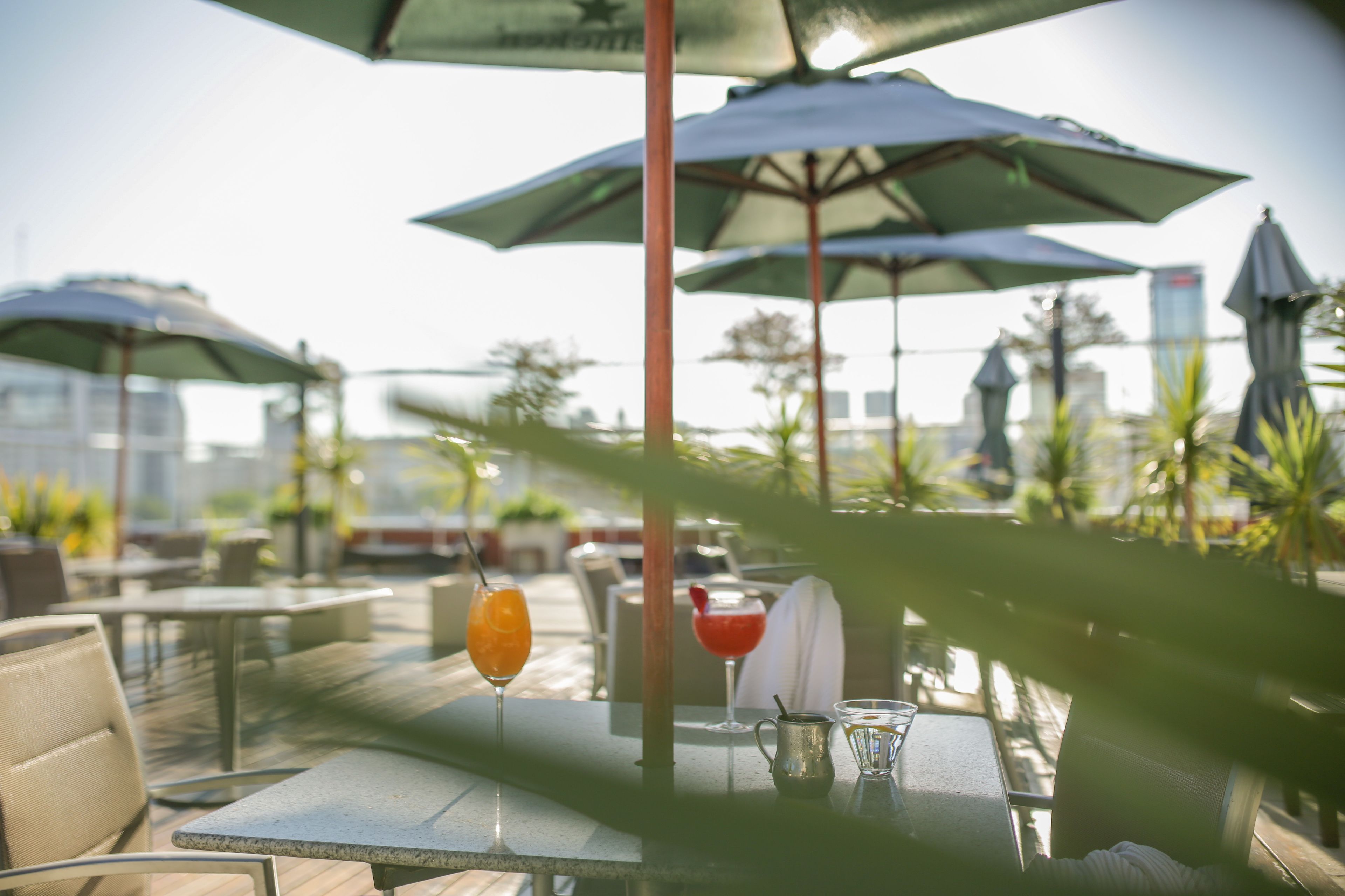 An outdoor seating area with tables, umbrellas, and drinks.