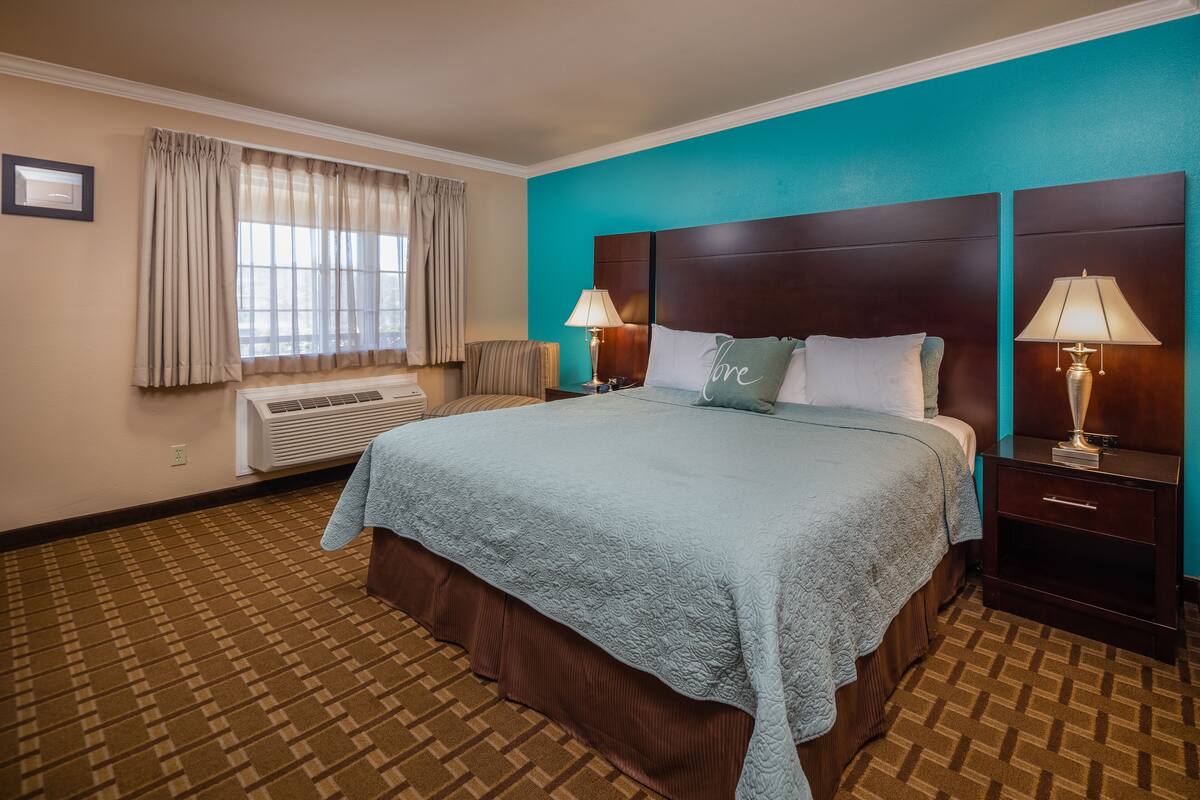Une chambre d’hôtel avec un grand lit, deux tables de chevet avec des lampes, une fenêtre avec des rideaux et une moquette à motifs.