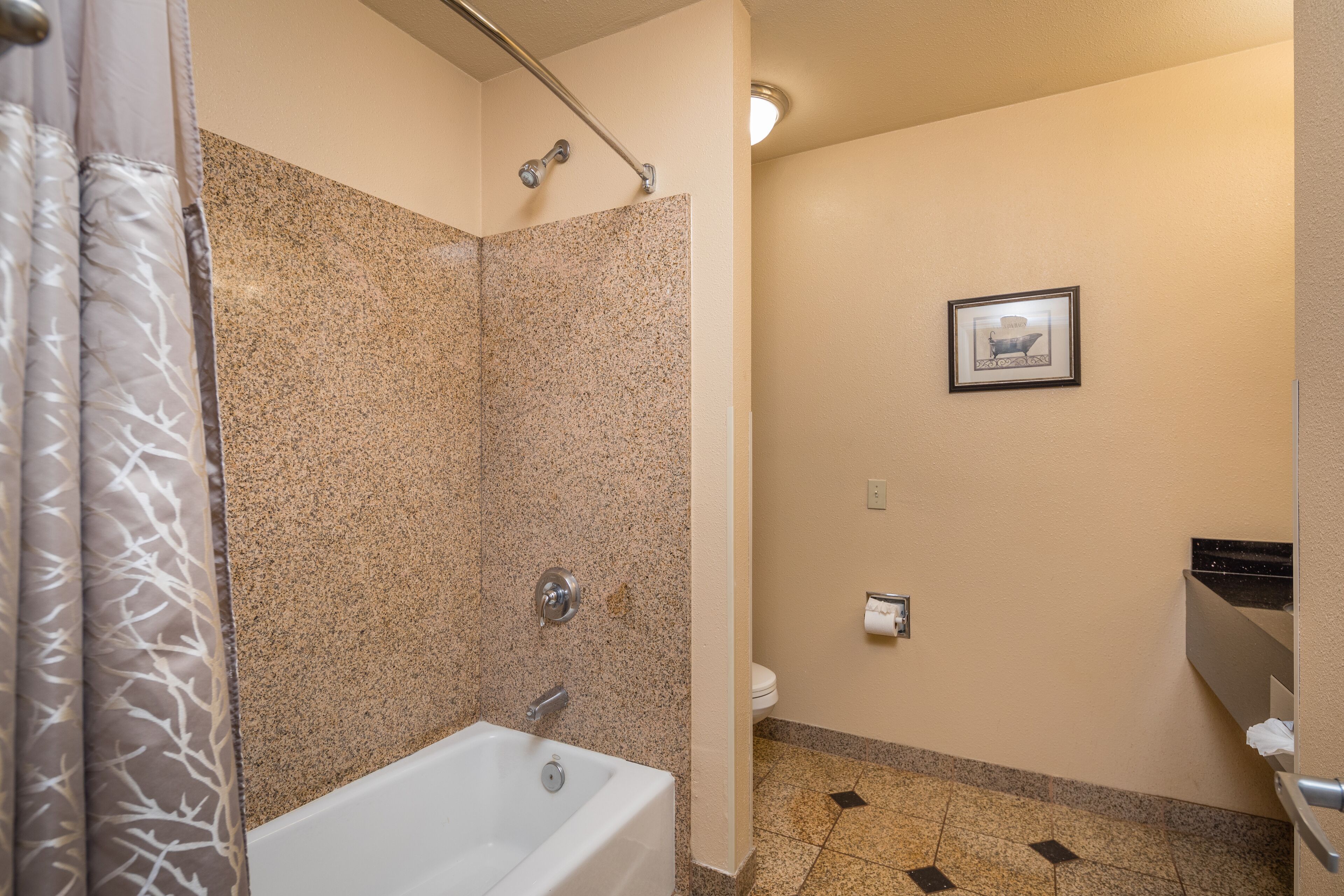 A bathroom with a shower, a bathtub, and a toilet.