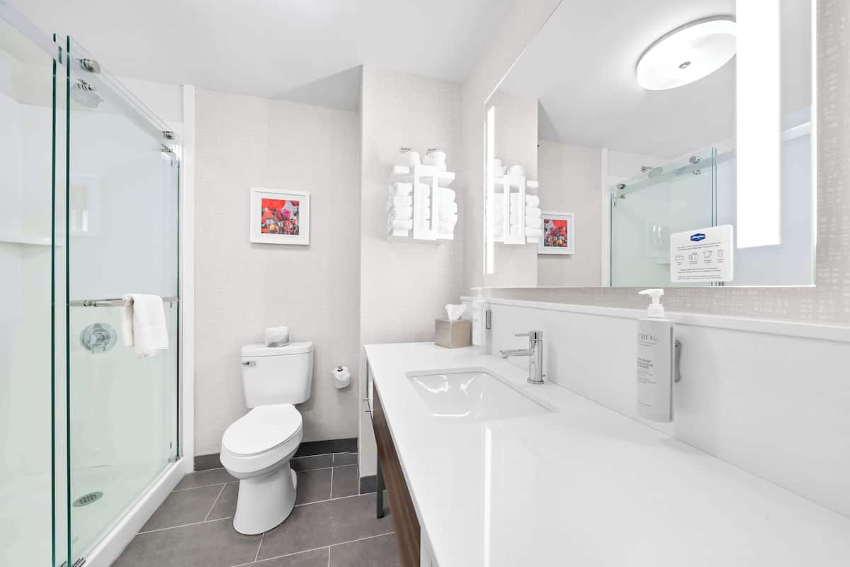 combined shower/bathtub, free toiletries, hair dryer, towels