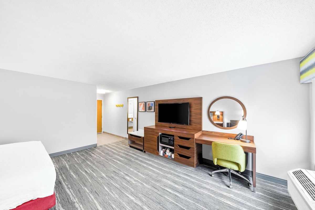 A hotel room with a bed, a desk with a chair, a TV, a mirror, and a wall-mounted heater.