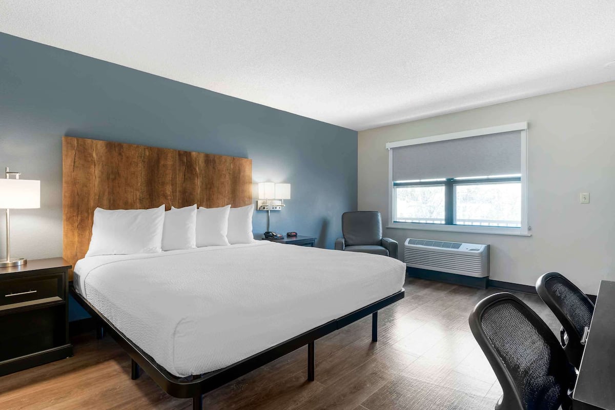 Studio, 1 King Bed, Non Smoking | Desk, laptop workspace, iron/ironing board, free WiFi
