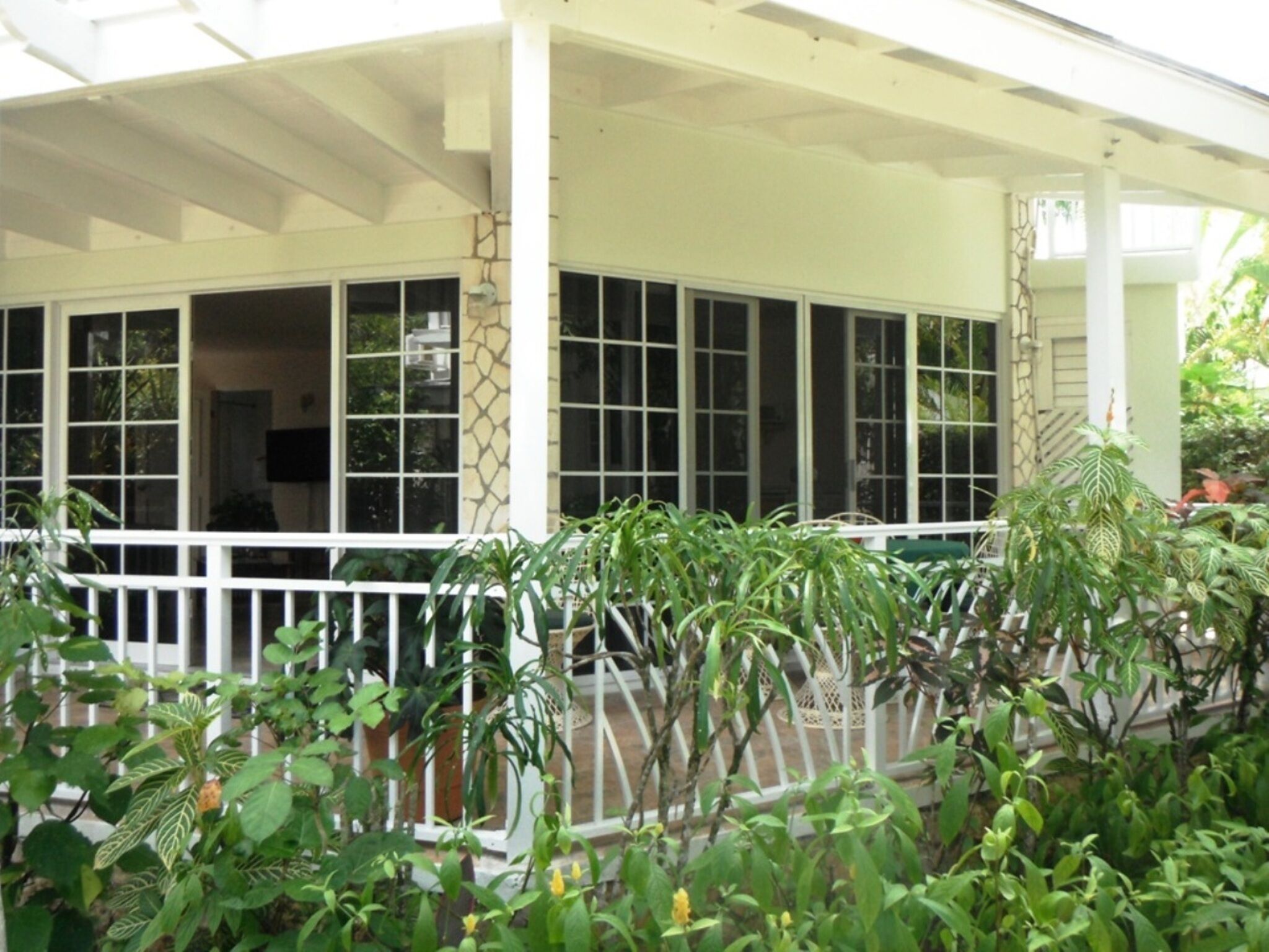 A covered outdoor area with a white railing, large windows, and various potted plants.