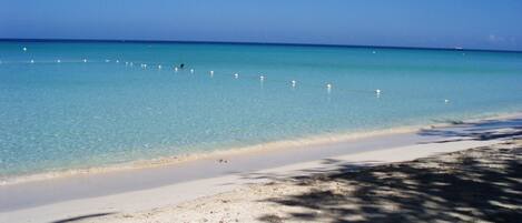 A beach with clear turquoise water, a sandy shore, and a string of buoys.
