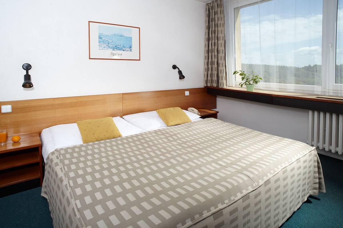 Standard Double or Twin Room