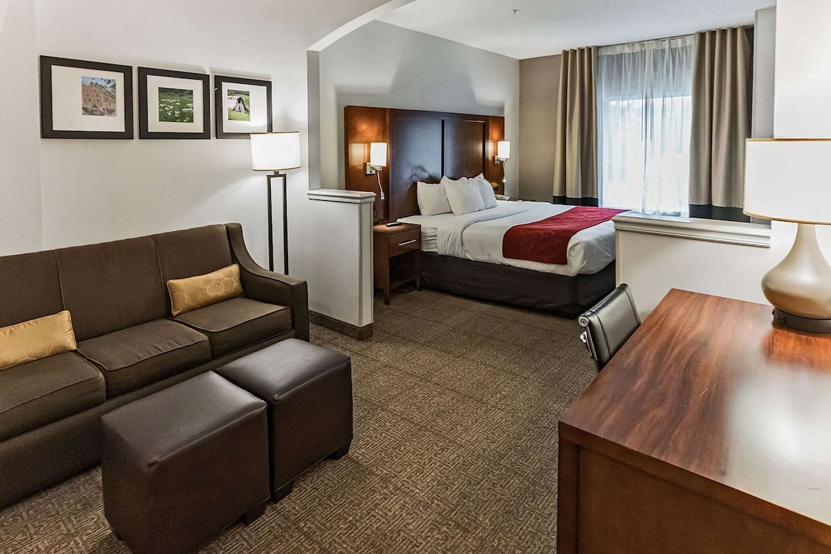 A hotel room with a bed, a sofa, a desk, and a chair.