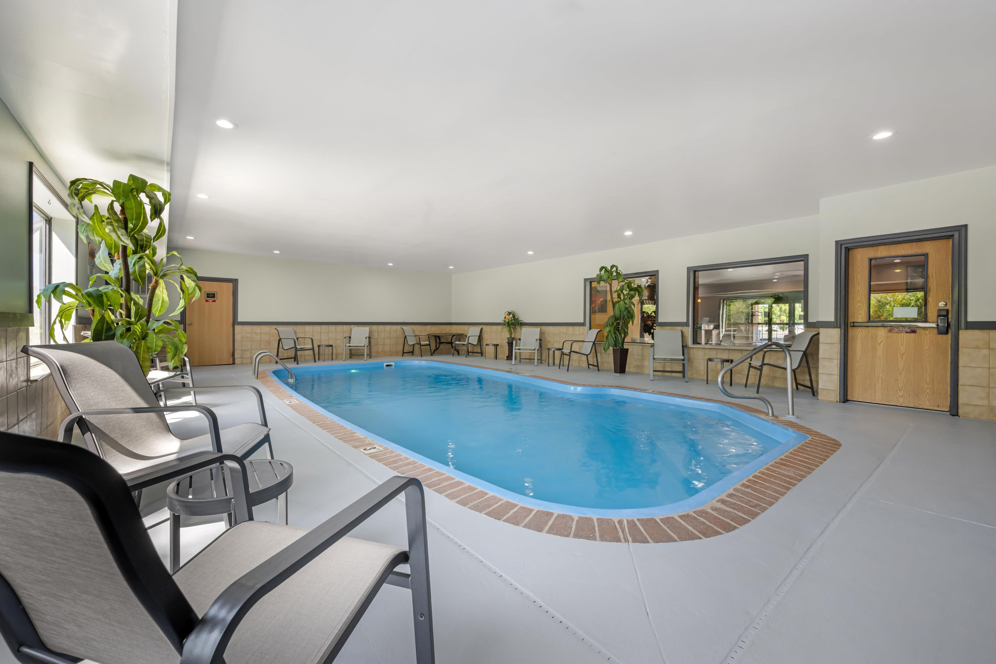 Indoor pool, sun loungers