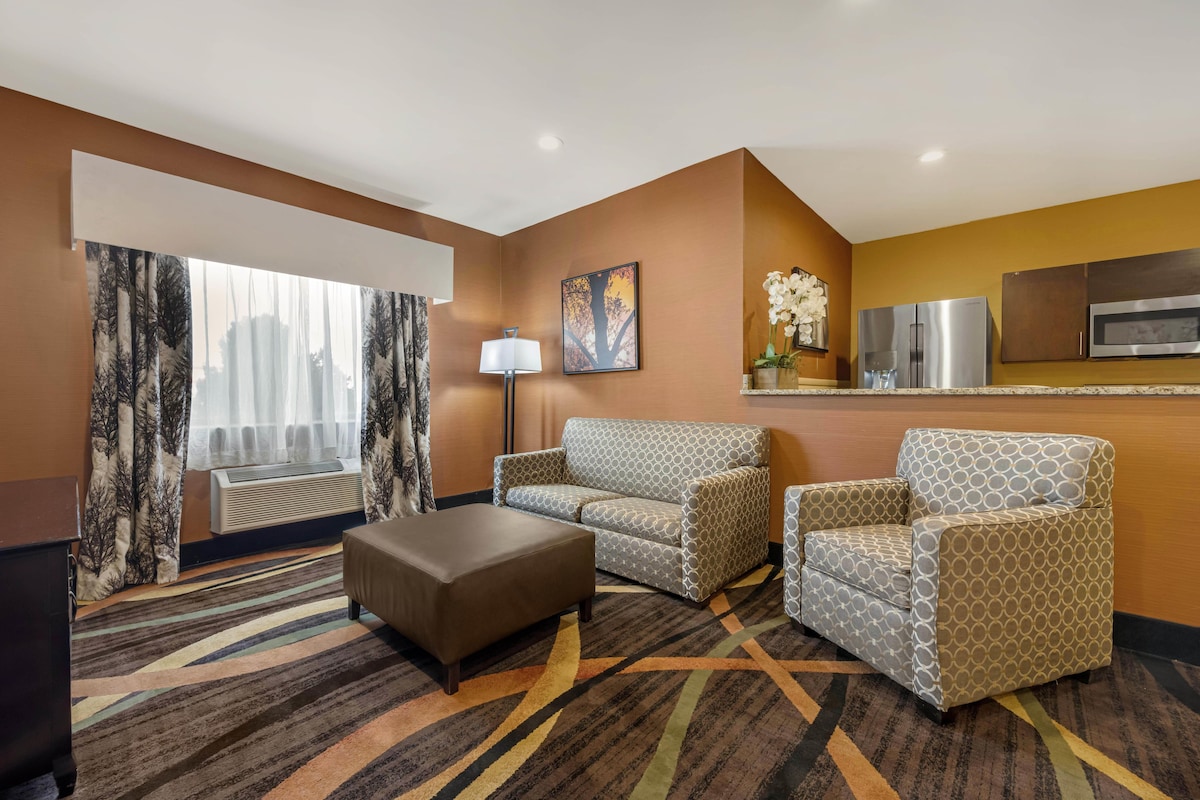 Suite, 1 King Bed, Non Smoking, Kitchen (with Sofabed) | Premium bedding, pillowtop beds, desk, laptop workspace