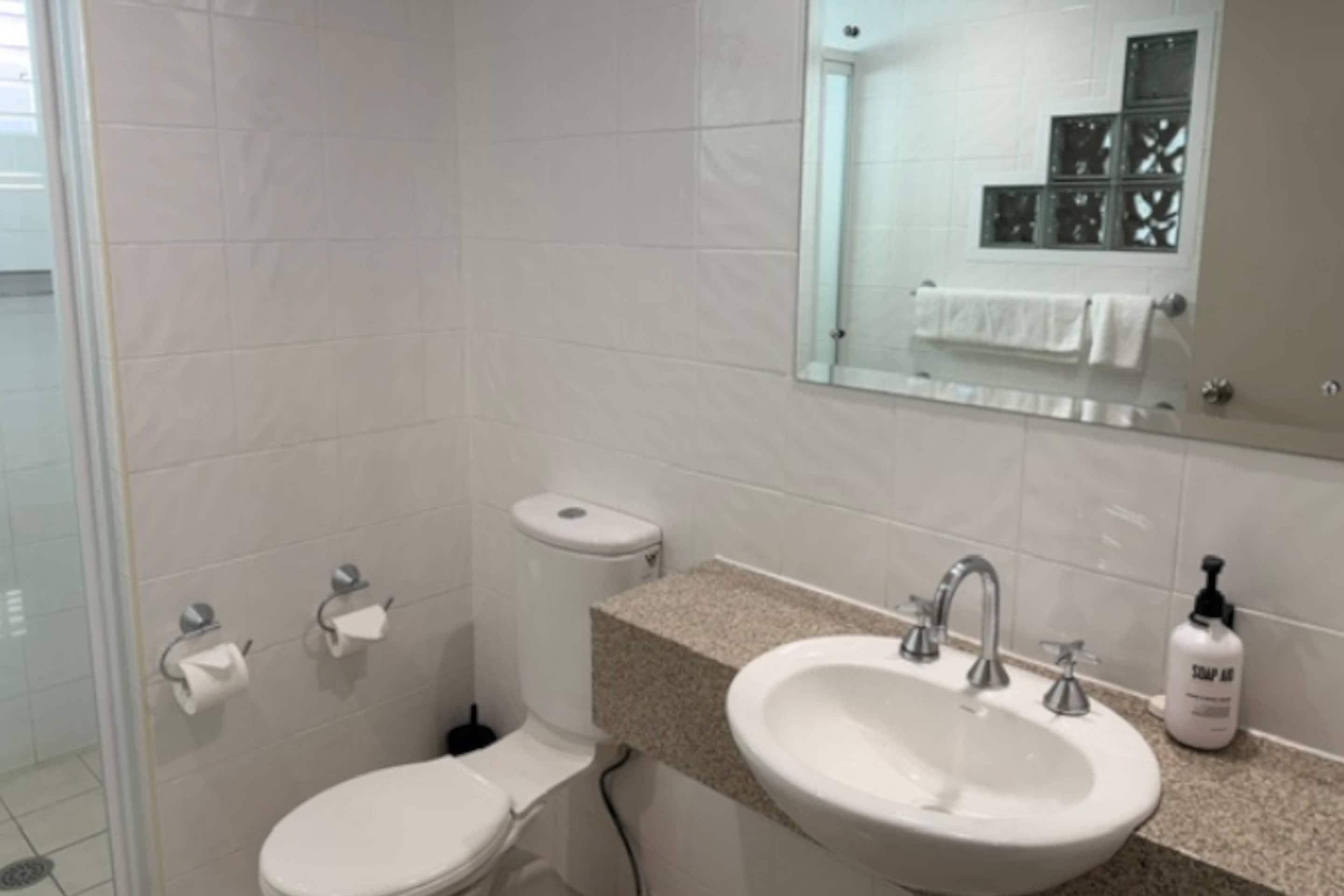 Un baño con inodoro, lavamanos y espejo.