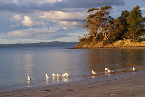 Beach nearby