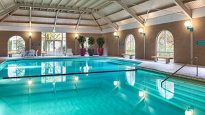 An indoor swimming pool with clear water, surrounded by brick walls, large windows, and potted plants. - NH Eindhoven Conference Centre Koningshof (Veldhoven)