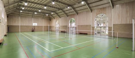 Un gimnasio interior con piso verde, líneas blancas que delimitan distintas zonas deportivas y un aro de baloncesto.