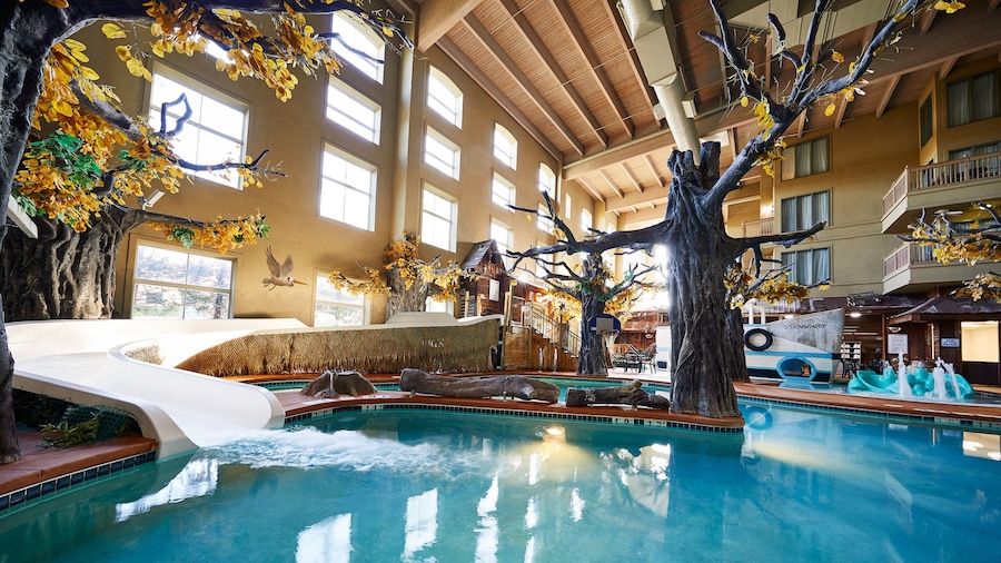 Holiday Inn Hotel & Suites Madison West - Middleton by IHG