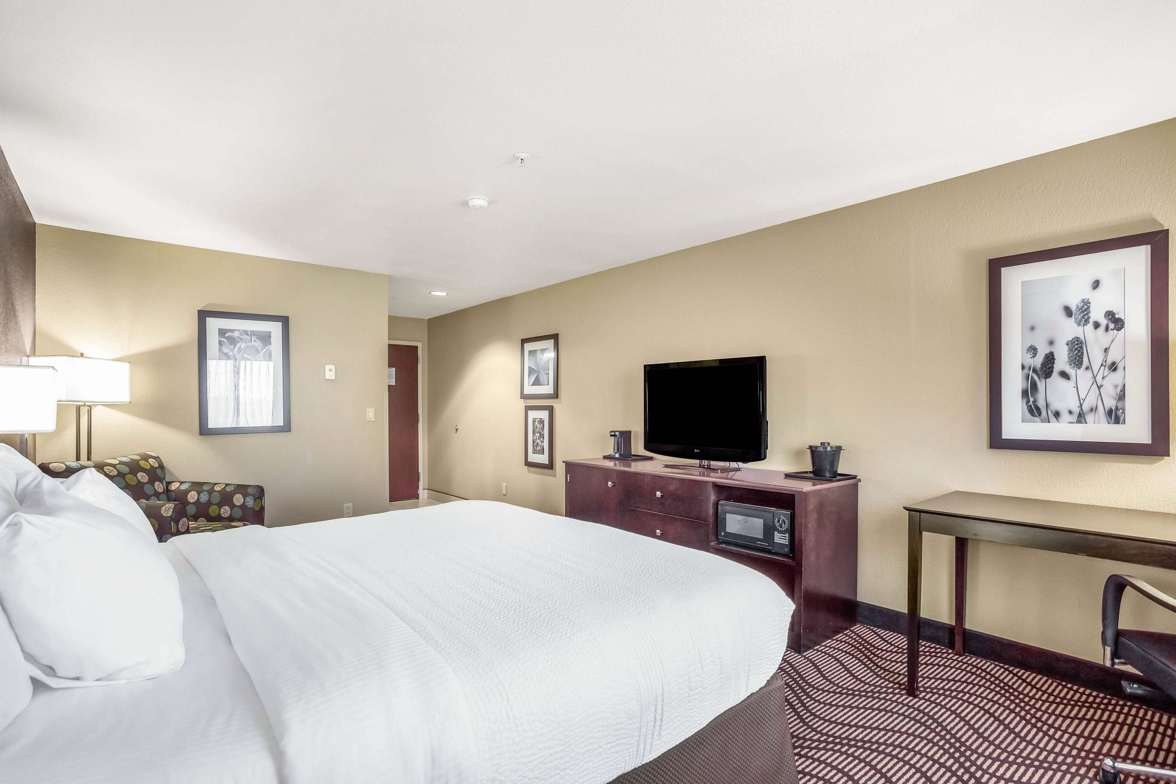 room, 1 king bed, non smoking | 1 bedroom, premium bedding, desk, laptop workspace