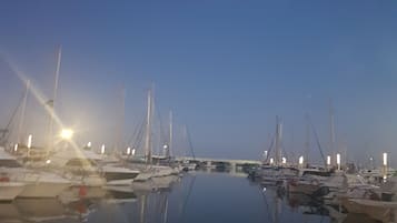 Paseos en barco