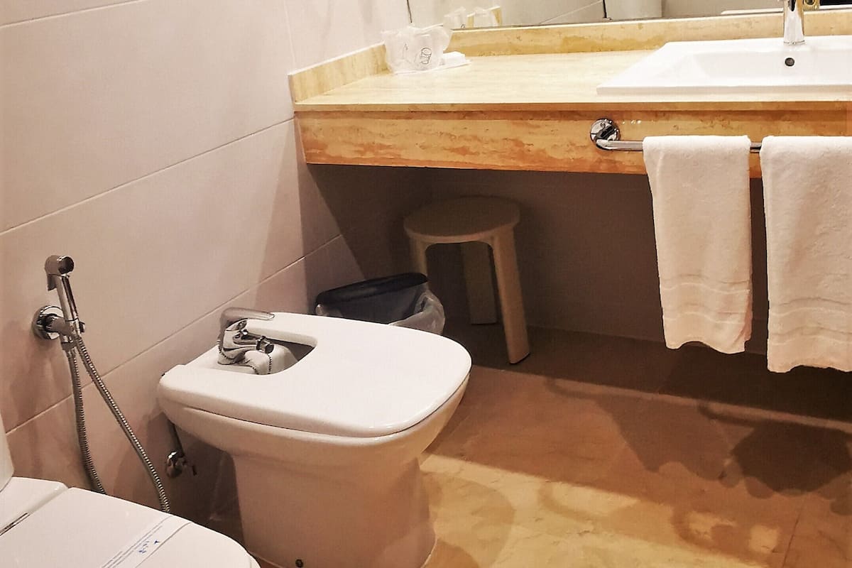 shower, free toiletries, hair dryer, bidet