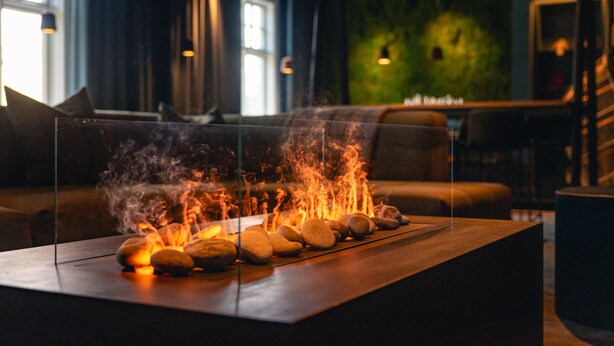 Et moderne interiør med et glasbord der viser sten og flammer, en lædersofa og en grøn væg med en plante.