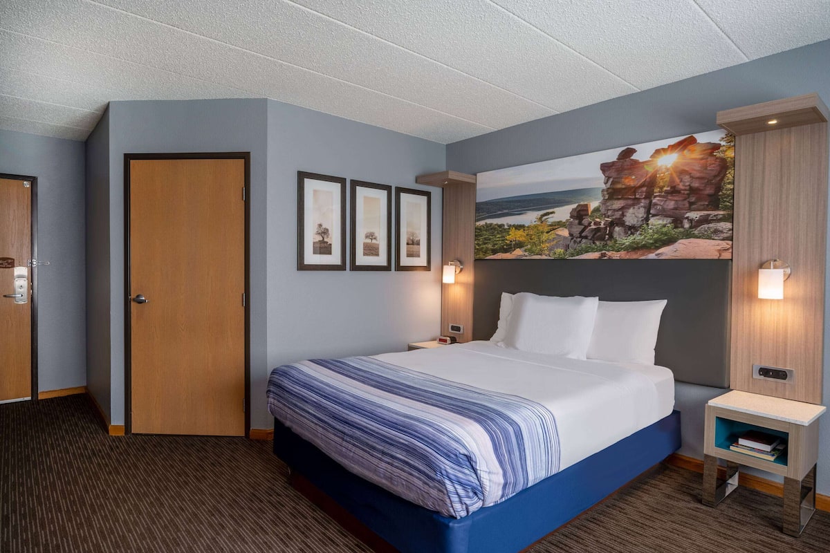 Habitación de hotel con una cama grande, una puerta, cuadros en la pared y un cuadro de un paisaje.