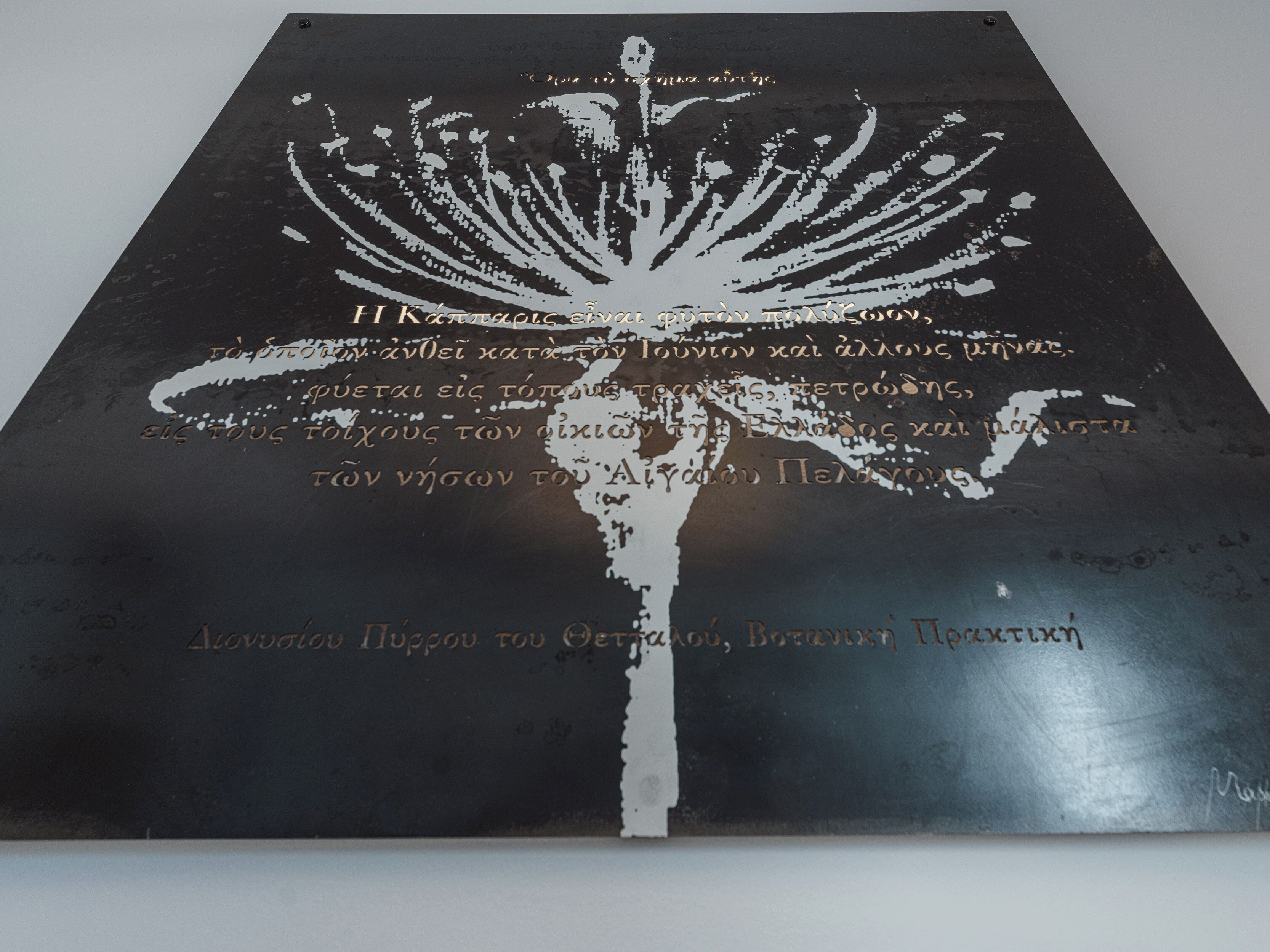 Photo - IKIES Santorini