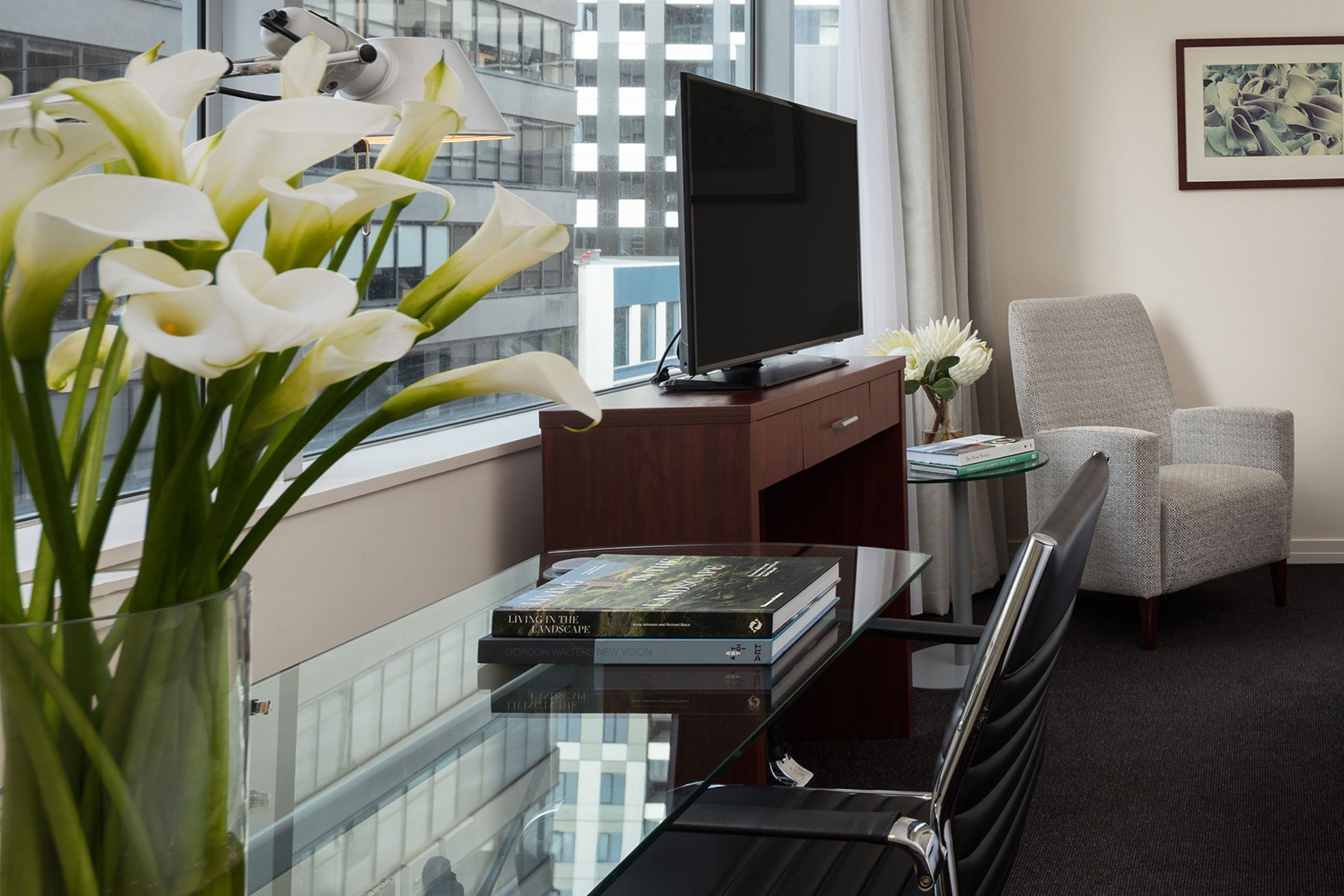 suite, 1 king bed | television