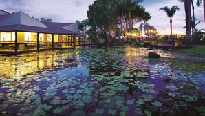 A hotel with a water garden, palm trees, and a well-lit building.