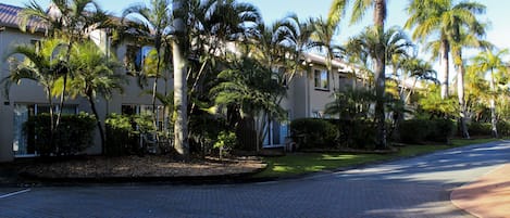 Una calle residencial bordeada de palmeras y casas.