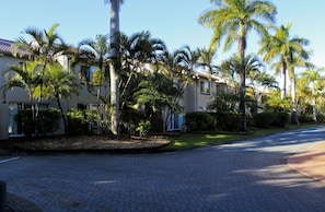 Una calle residencial bordeada de palmeras y casas.