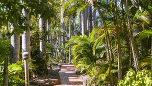 A paved pathway lined with palm trees and other tropical plants, leading towards a building.